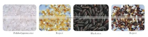 2017 hot selling CCD camera high quality new model RGB small rice sorting machine