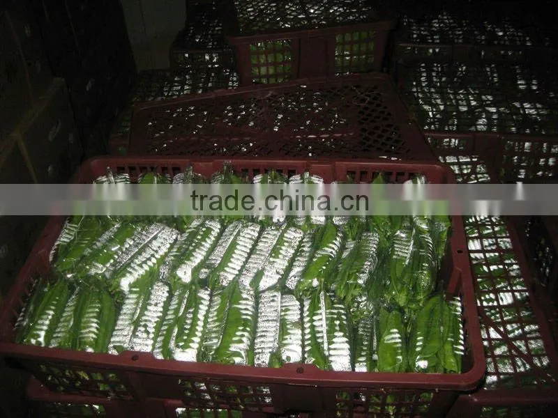 Fresh green sweet peas