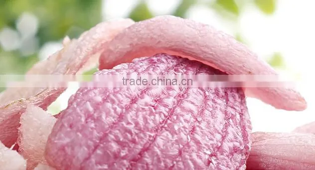 Dehydrated Purple Onion Chips