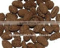 squid coated Peanuts