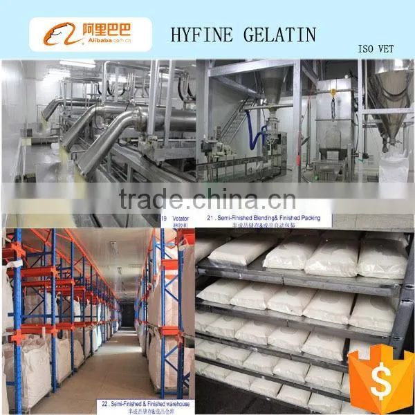 bodybuilding supplements protein/ hydrolyzed collagen powder