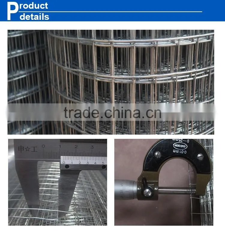 Alibaba factory price 1/4 inch galvanized welded wire mesh