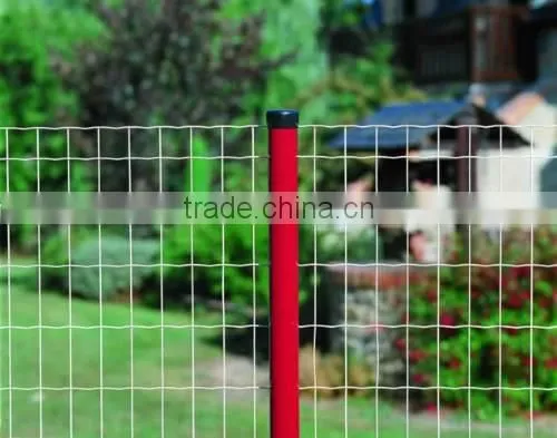 Fence Mesh Application and Galvanized Iron Wire Material 8/6/8 Double Wire Fence