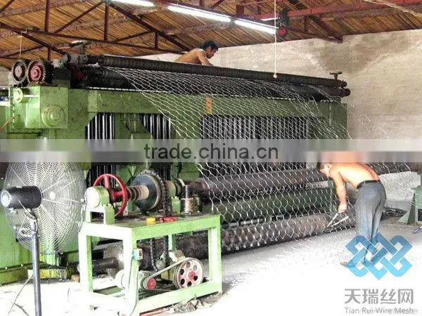 pvc coated/galvanized hexagonal wire mesh