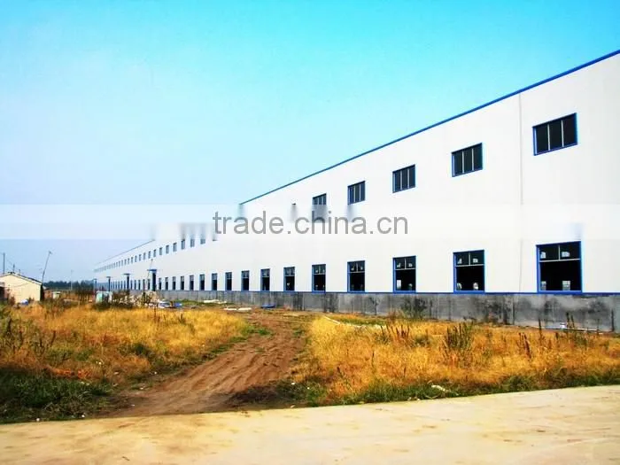 Professional famous steel structure buildings with CE certificate