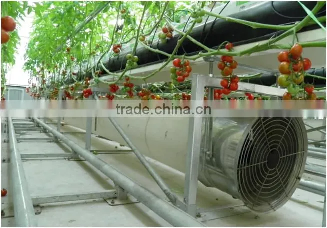 Greenhouse Air Circulation System