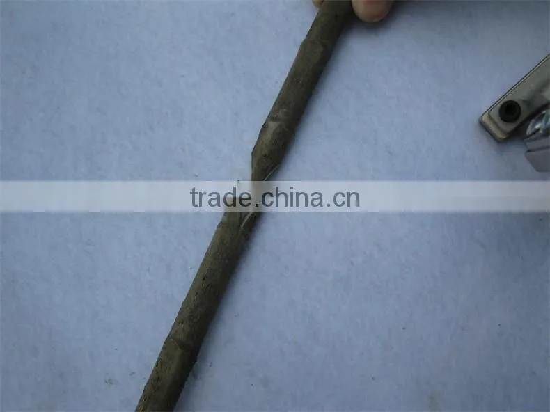 2017 Professional grafting tool can cut 2cm made in Zhejiang