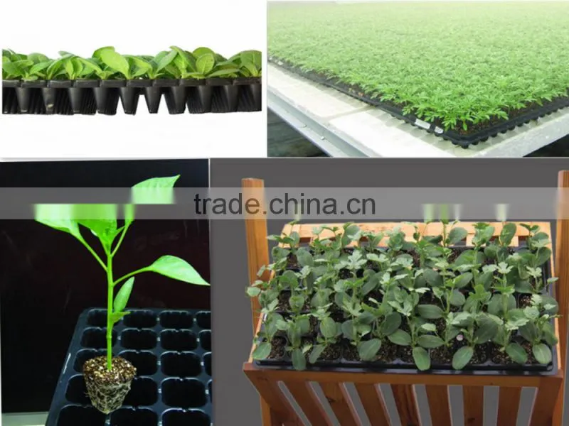 High quantity Q21 cells black PS seeding tray for seeds growing