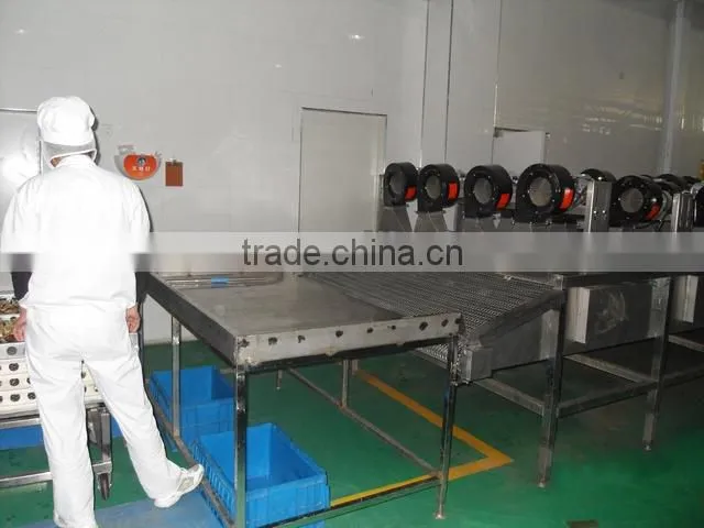 Pasteurizing Equipment Rollaround-type Blanching Machine