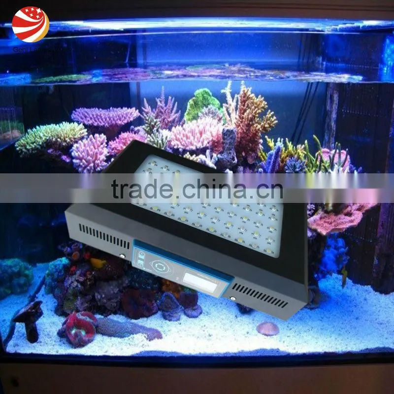 led coral light for aquarium with blue moon