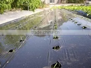 LDPE black rolls agriculture mulch film