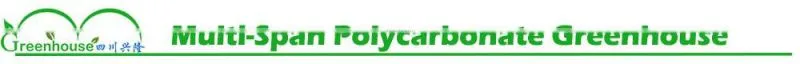 High Quality Garden Greenhouse Polycarbonate for Sale