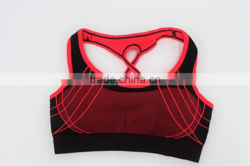 High quality seamless sports bra OEM in 5 colors