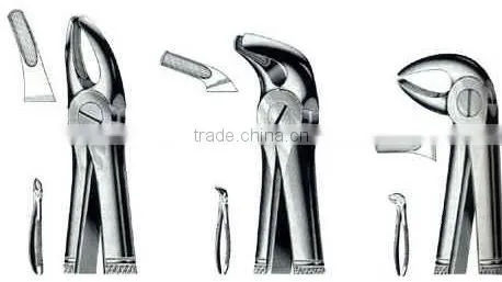 Stainless Steel Dental Extracting Forceps