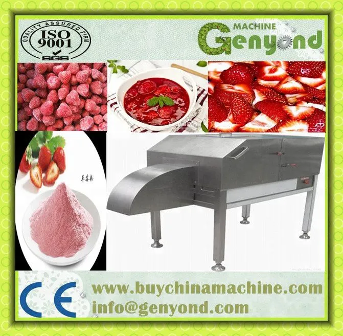 Automatic Frozen Fruit & Vegetable Processing Line