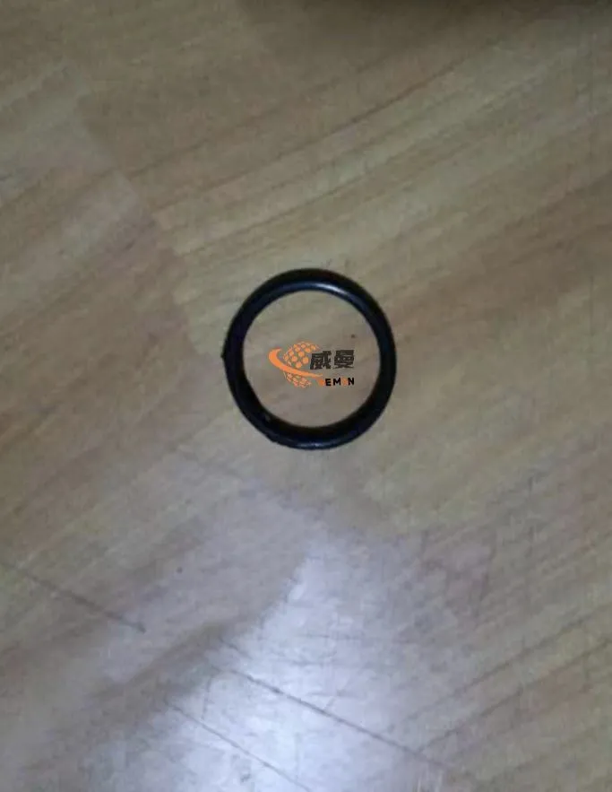 O-ring 4030000097 1.jpg
