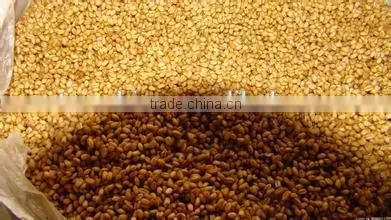 Automatic Pet Food Machine Spare Parts