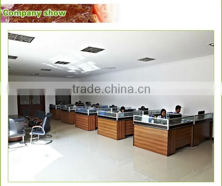 Electric Luxury Contact Grill BN-811E