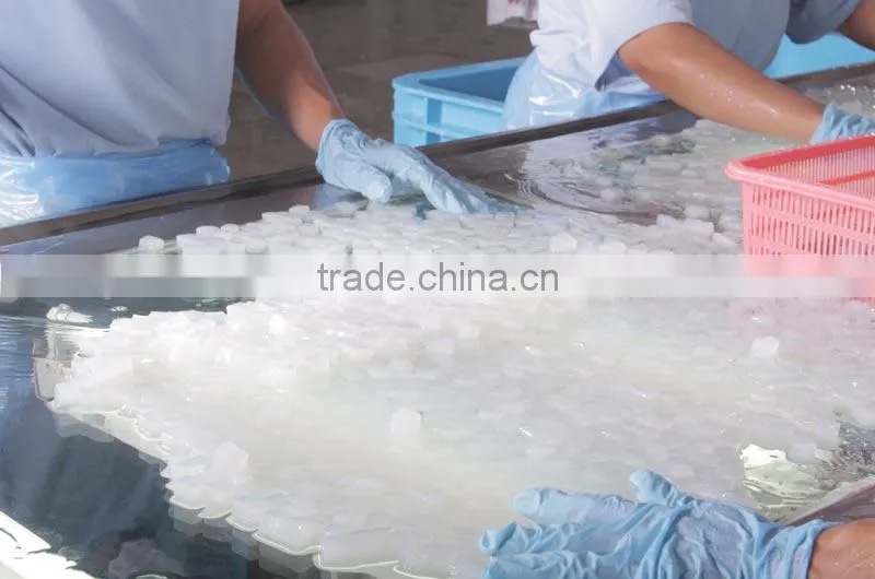 Nata de coco for mask sheet