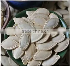 NON GMO Sunflower Seeds/Sunflower Seeds Kernel/Salted Sunflower Seeds
