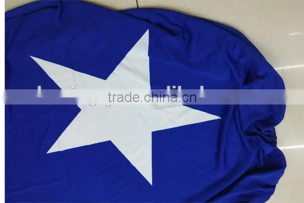 polyester car cover,Chile car bonnet cover,flag cover for cars