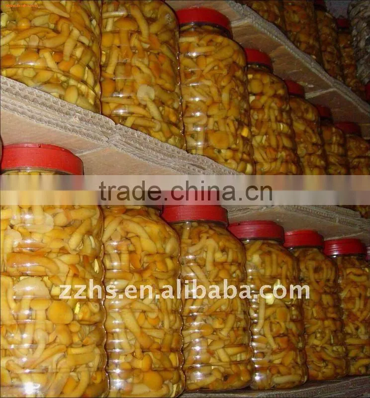 Marinated Nameko Mushroom With Especial Flavor