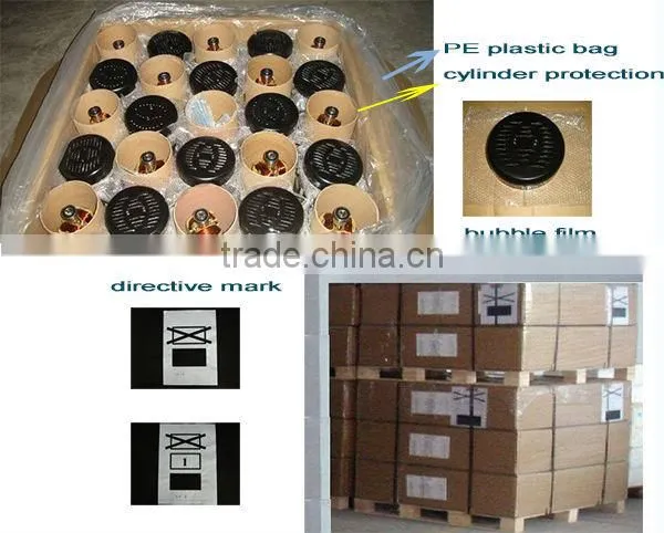 Small Portable 5.5kw 220V Single Phase AC output generator power Dynamo Alternator