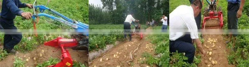 Double rows Sweet Potato harvester