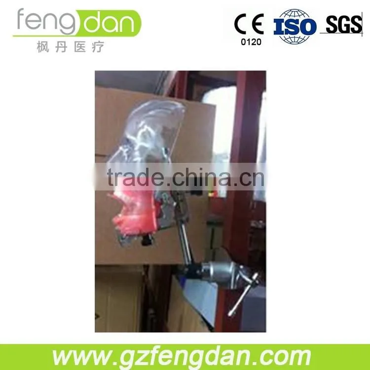 Hot sale advanced easy to operate dental phantom head