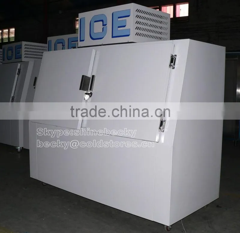 Slant ice merchandiser for indoor & outdoor use