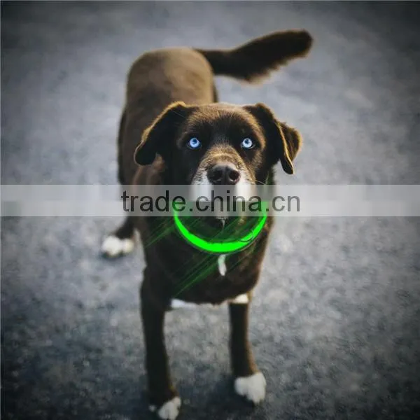 Hot sell pets supplies led dog collar and leash, electric dog collar