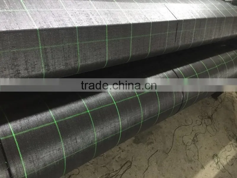 black/Green pp plastic ground cover