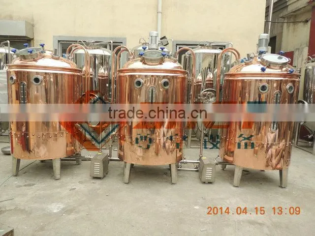 beer equipment made by SUS 304 or red copper/CE and ISO certification