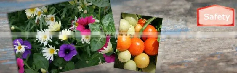 Safe Pesticide insecticide eucalyptol for control aphids