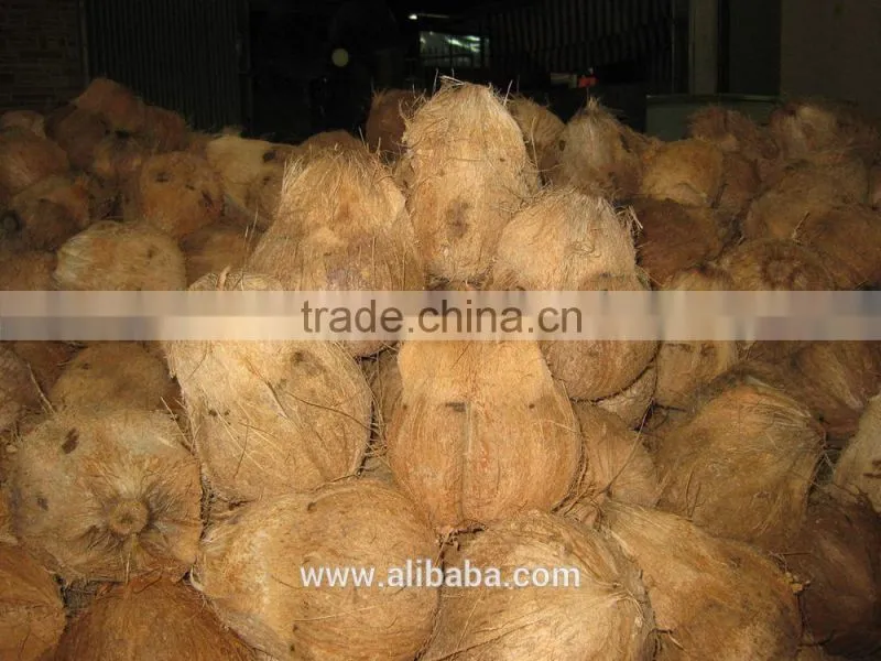 vietmam semi husk mature coconut, best quality, cheap price