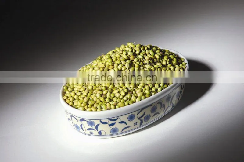 Coriander