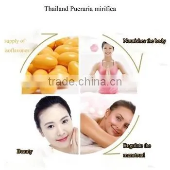 100% Natural Thailand Pueraria Mirifica Powder for Breast Enhencement