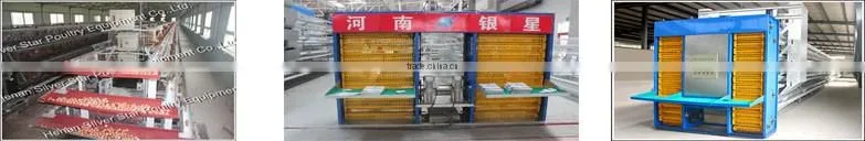 hot galvinized metal poultry chicken cages