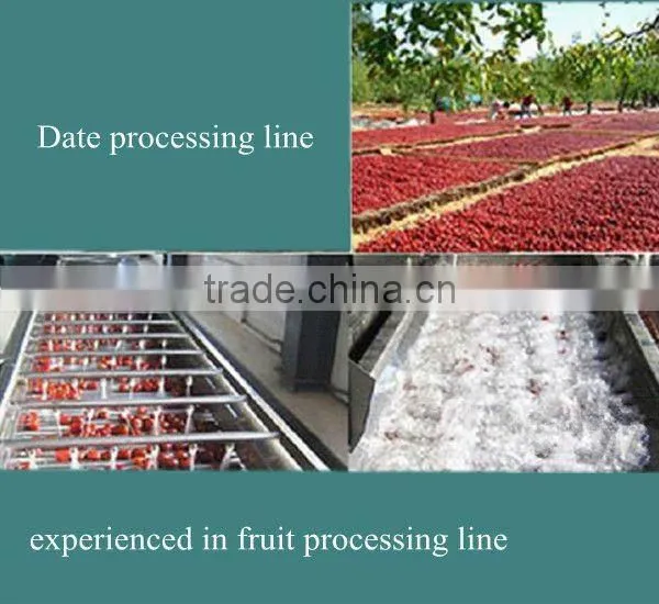 jujube production line/date processing line for high capacity