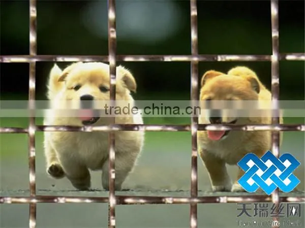 Stainless steel screen mesh or stainless steel crimped wire mesh