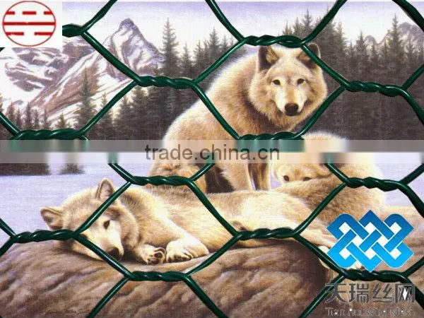 Galvanized and pvc coated Hexagonal Chicken Wire Mesh (Since 1989,ISO)