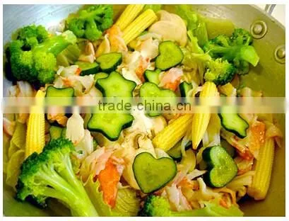 Heart Shaped Molds for Growing Vegetables and Fruits, Veggie Molds