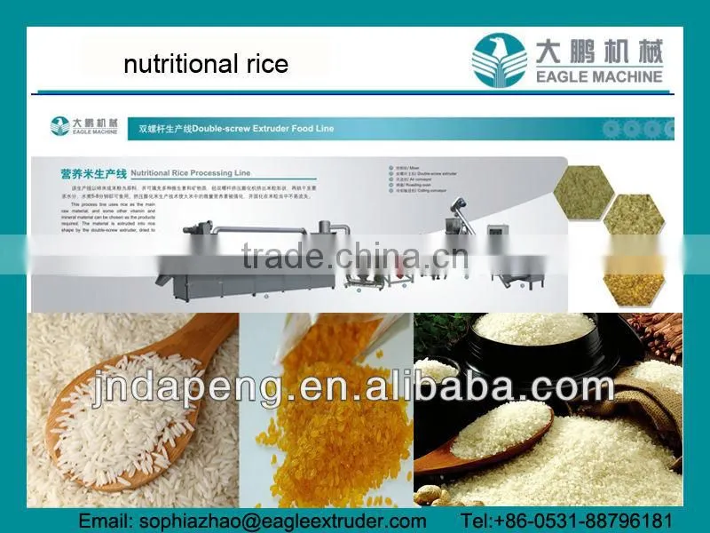 DP70 Instant rice/nutritional rice processing machine/maker in china
