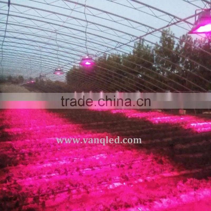 VANQ new innovative led grow light,used grow lights for sale 30w50w 60w 100w