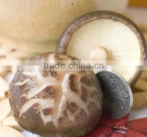 Dried White Flower Mushroom