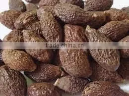 Cinnamon Bark/Cinnamon cassia