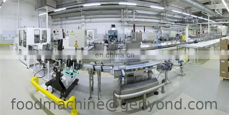 Automatic special shaped lollipop candy making machine single color