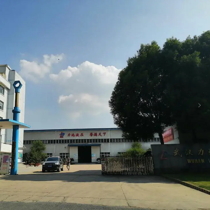 Wuhan Lidi Hydraulic Equipment Co., Ltd. company overview - view 1