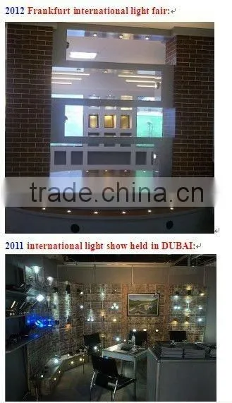 316Stainless steel body and aluminum decorative lighting