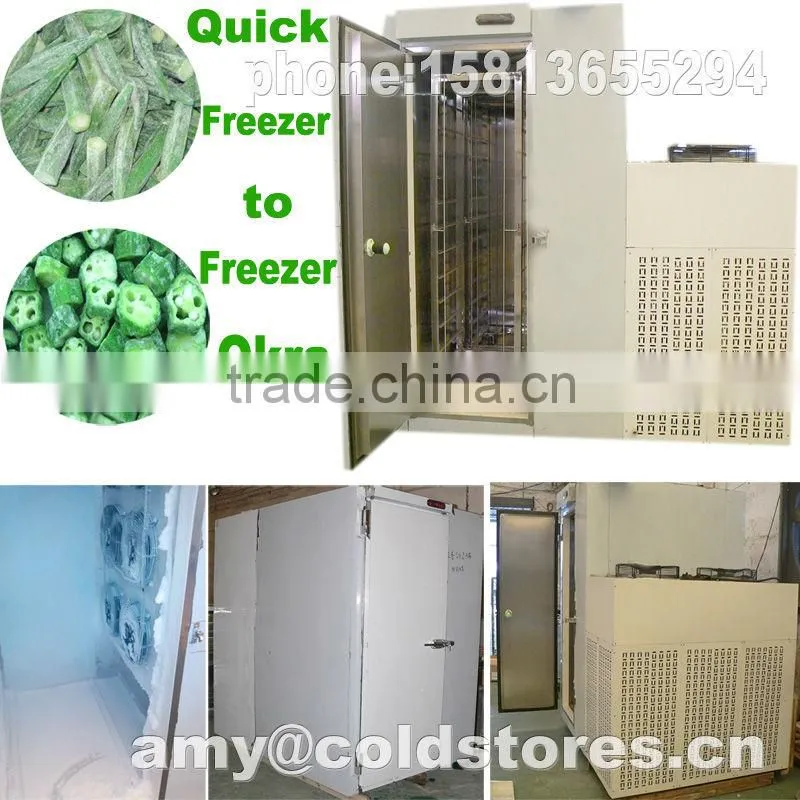 quick freezer for 400kg okra instant freezing